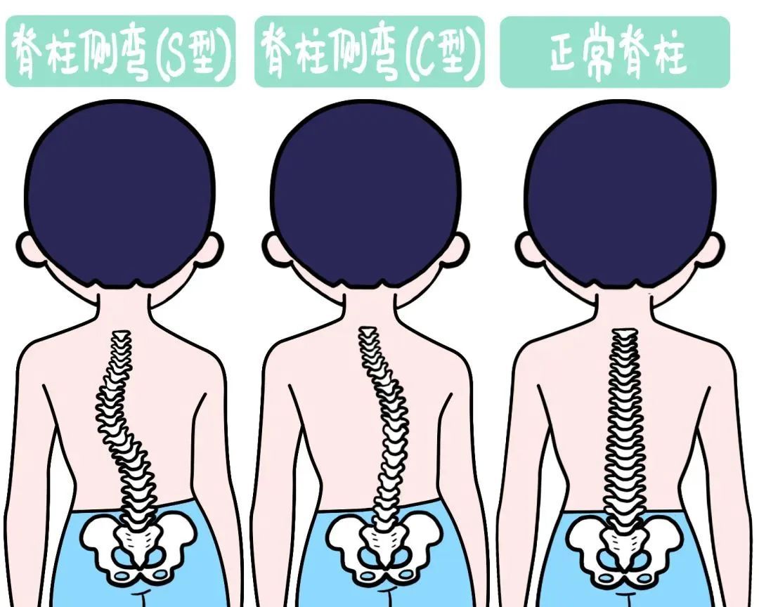 第342页