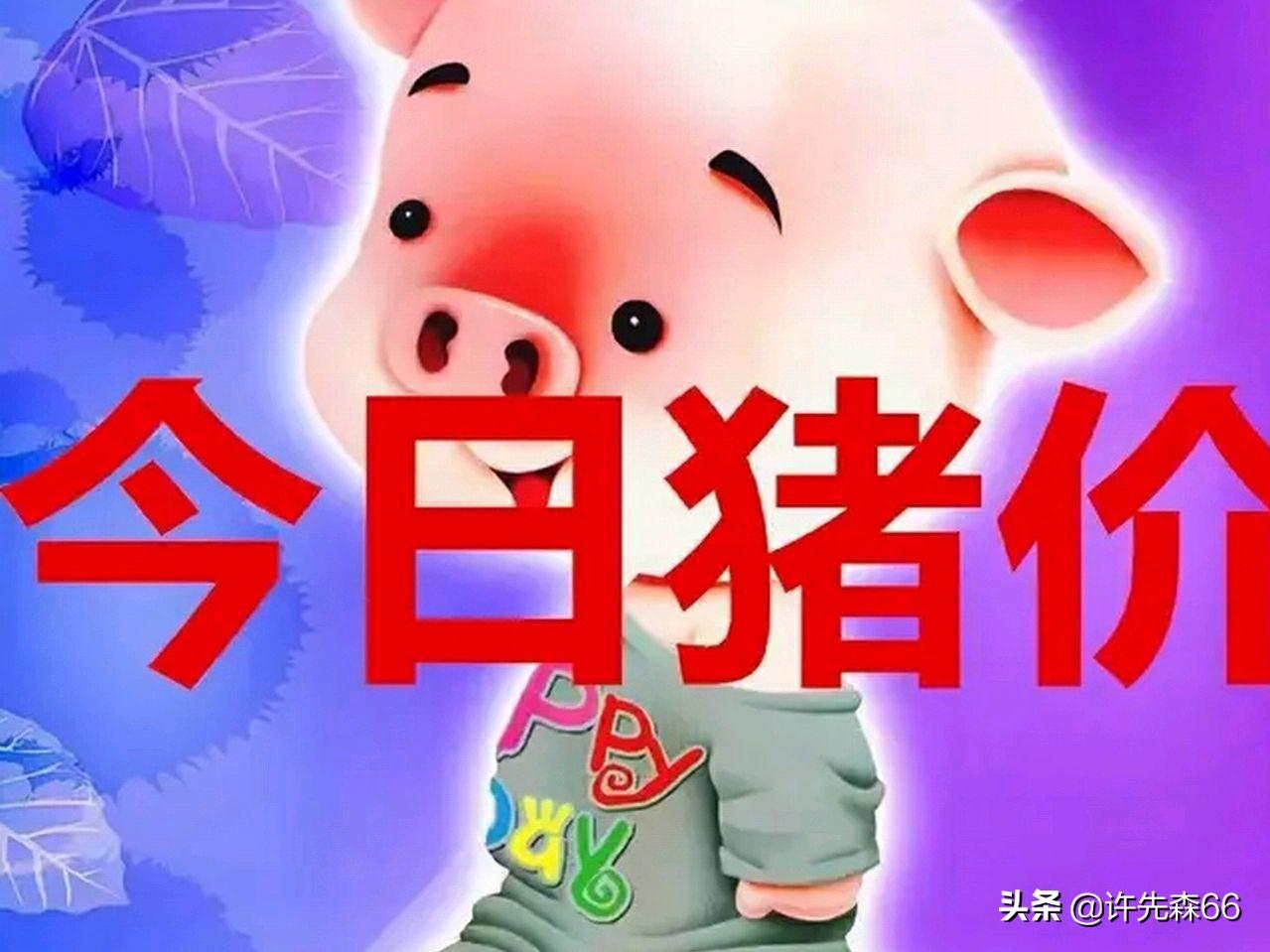 第337页